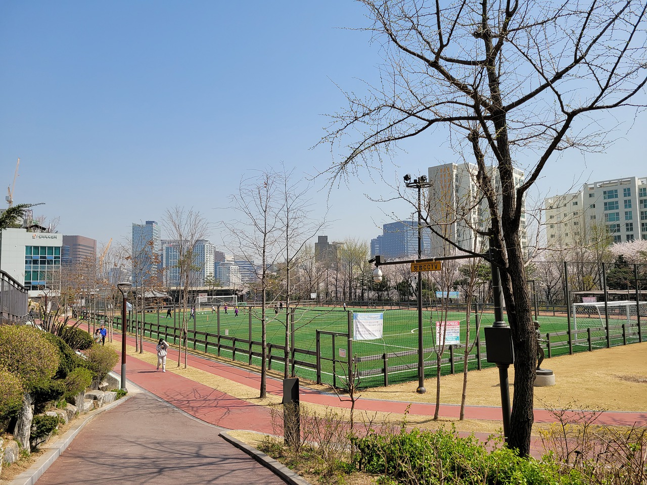 藏粮于地