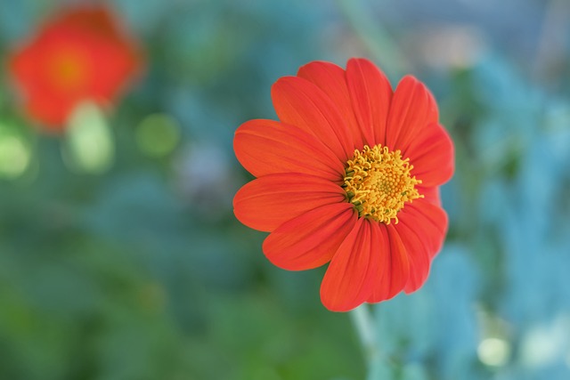 体能消耗 体能消耗