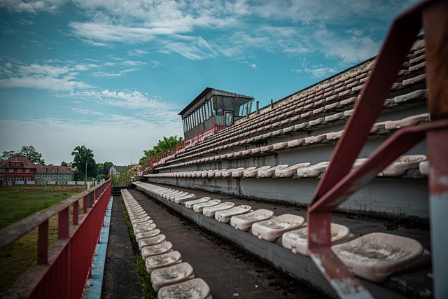 分以上的得 分以上的得