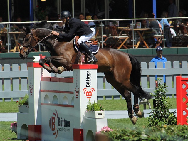 有的体制下 有的体制下