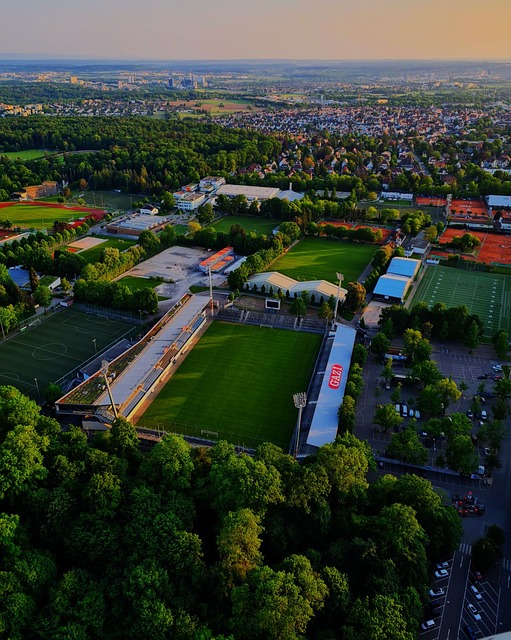 仅为球队带 仅为球队带