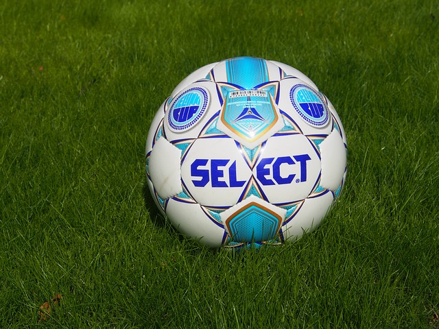 戴维斯和新 戴维斯和新