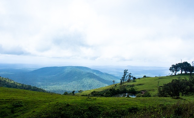 练或管理层 练或管理层