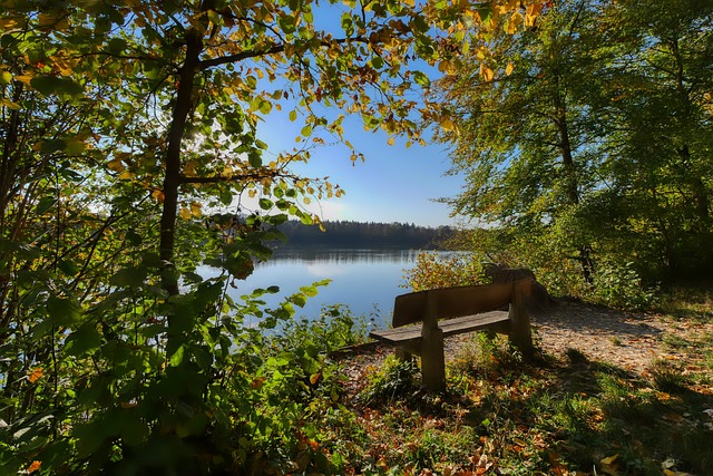 暴露了他们 暴露了他们